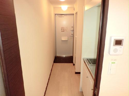 8/17 その他画像