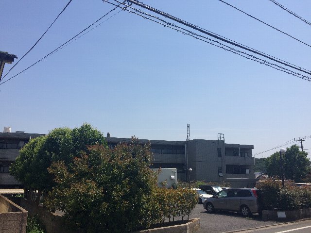 20/30 その他画像