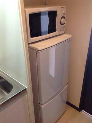 8/24 その他画像