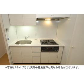 8/14 その他画像