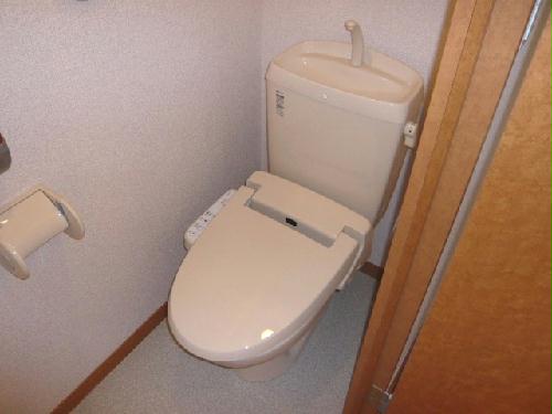 13/14 その他画像