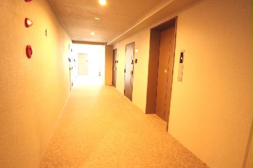 10/19 その他画像