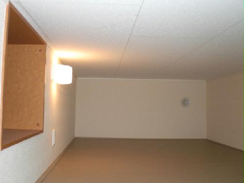 13/19 その他画像