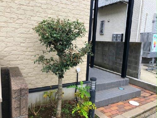 11/13 その他画像