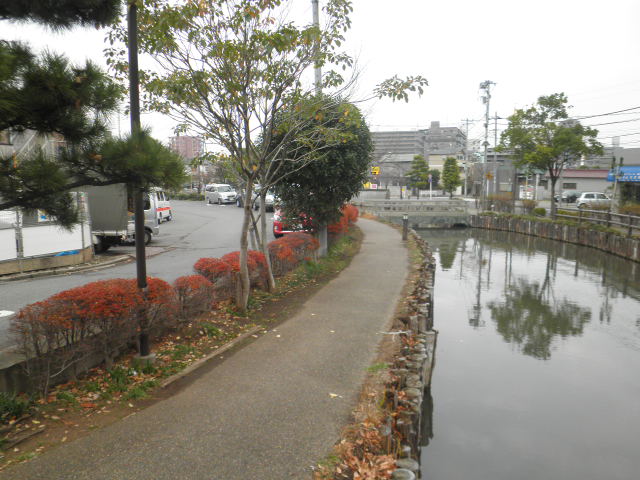 4/13 その他画像