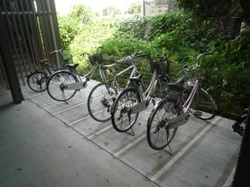 11/19 その他画像