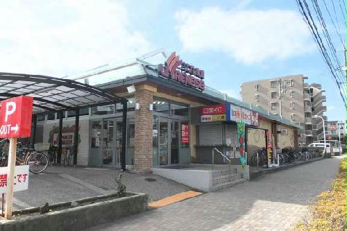 13/14 その他画像