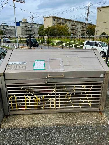 12/13 その他画像