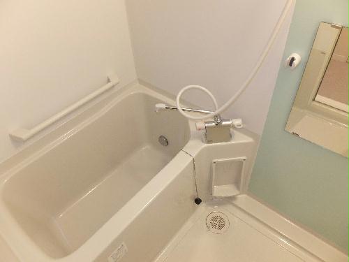 11/14 その他画像