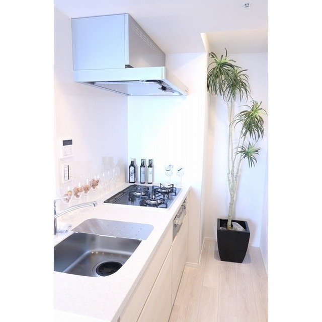 16/19 その他画像