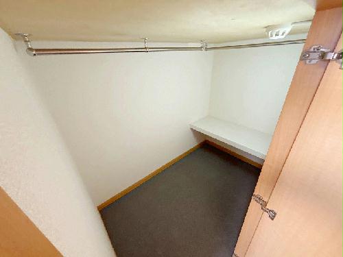 8/17 その他画像