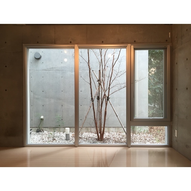 11/24 その他画像