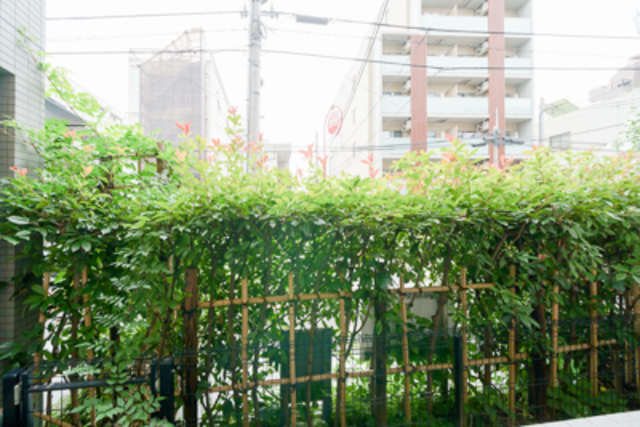 28/30 その他画像