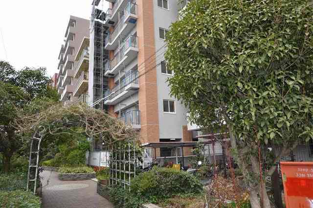 15/25 その他画像