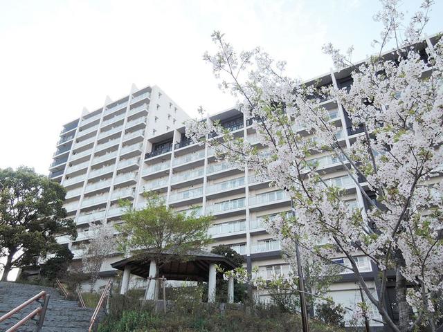 1/19 外観