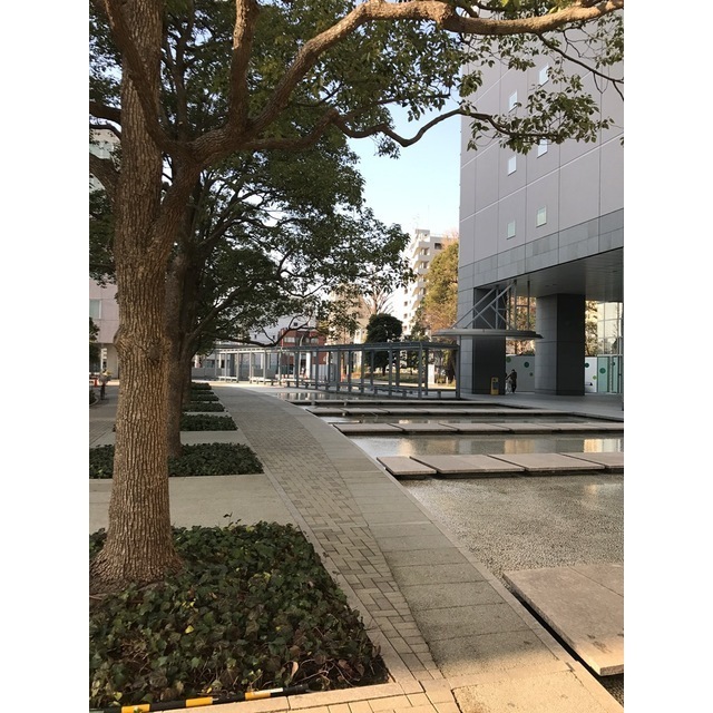 4/15 その他画像