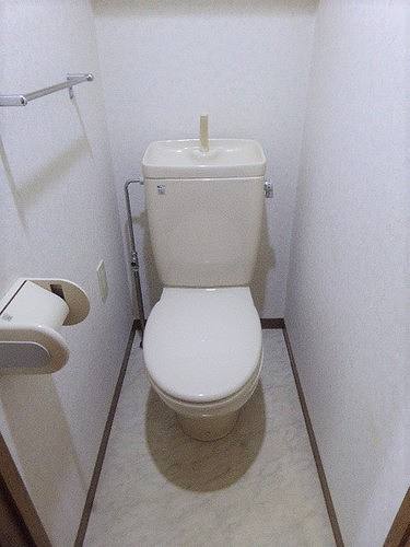 6/13 その他画像