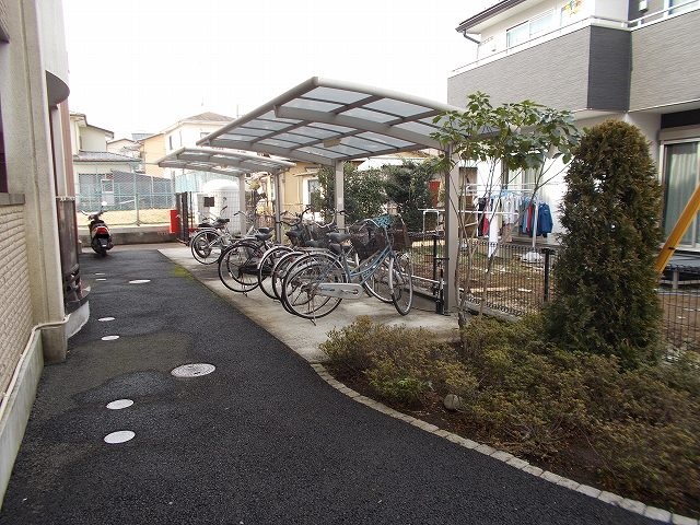 20/30 その他画像