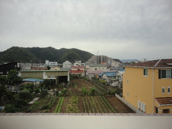 19/25 その他画像