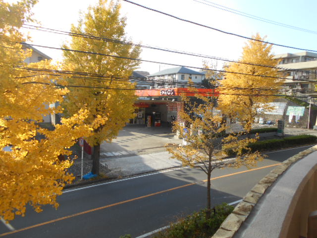 21/30 その他画像