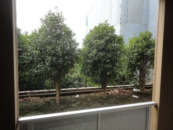 20/28 その他画像