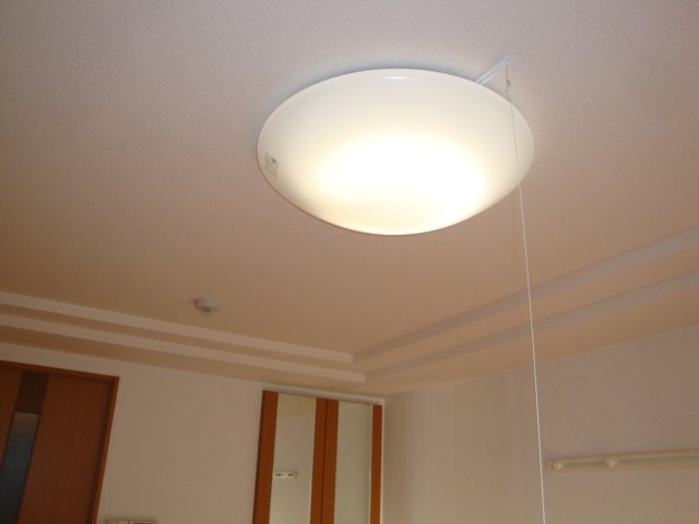 20/29 その他画像