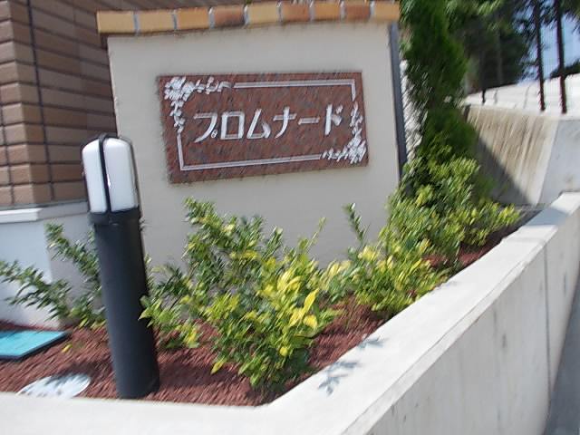 16/22 その他画像