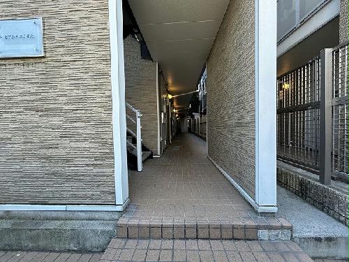 8/14 その他画像