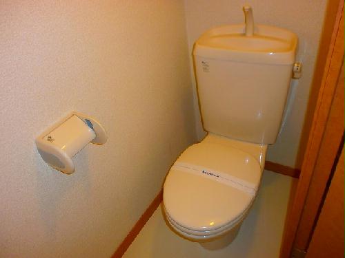 5/15 その他画像