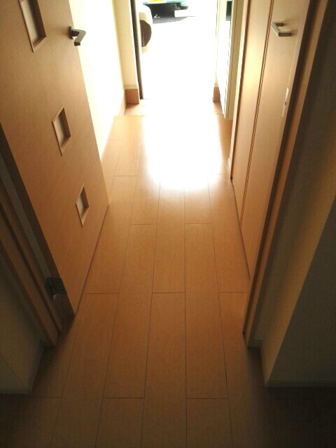 15/22 その他画像