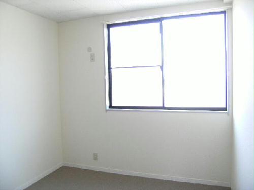 11/19 その他画像