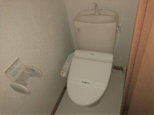 8/13 トイレ
