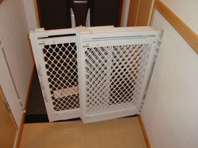 17/30 その他画像