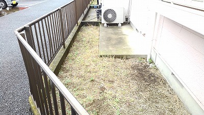 11/24 その他画像