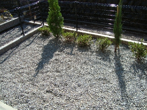 12/16 その他画像