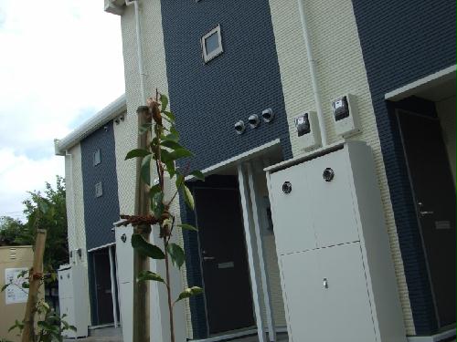 11/19 その他画像