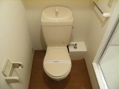 13/14 その他画像