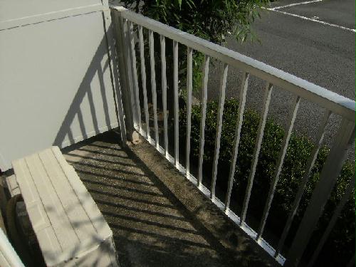 8/16 その他画像