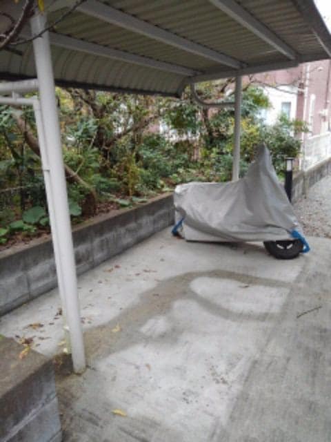 12/21 その他画像