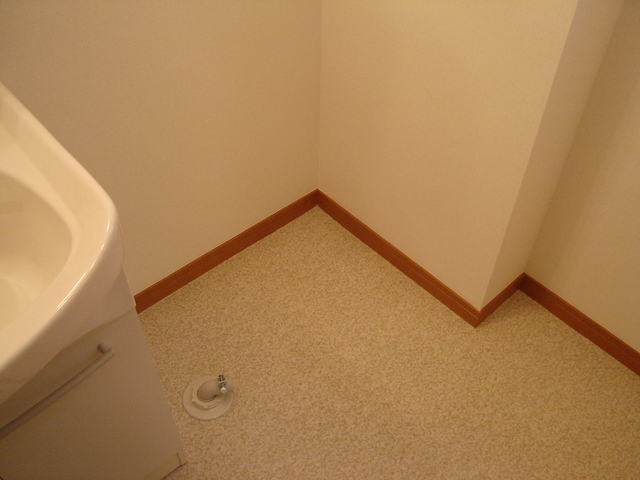 28/29 その他画像