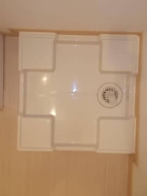 11/20 その他画像