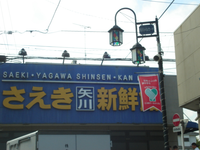 3/7 周辺
