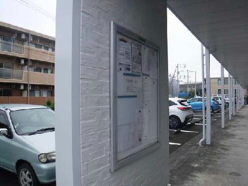 11/14 その他画像