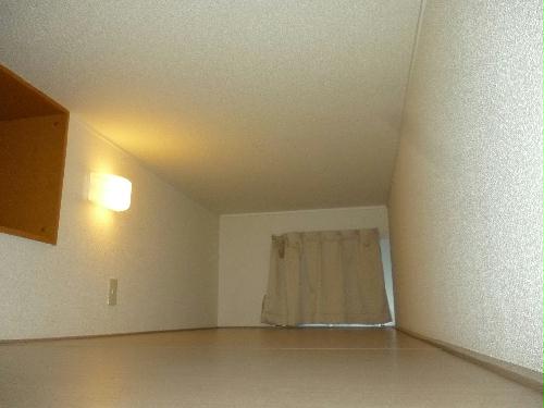 8/12 その他画像