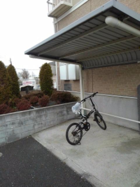 11/20 その他画像