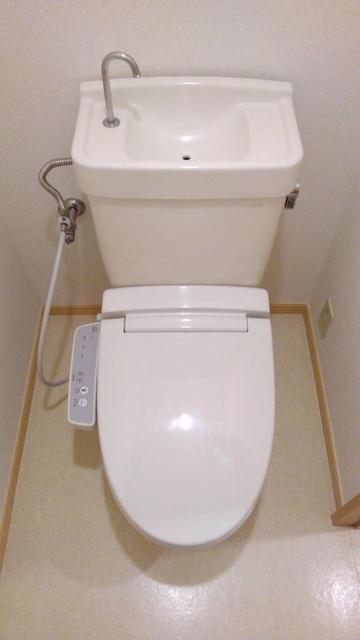 11/30 トイレ