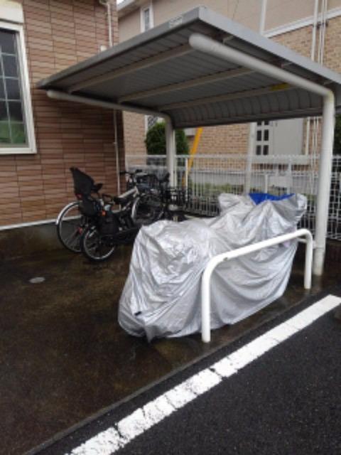 11/20 その他画像