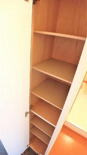 8/21 その他画像