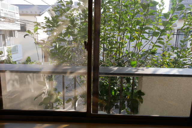 21/24 その他画像