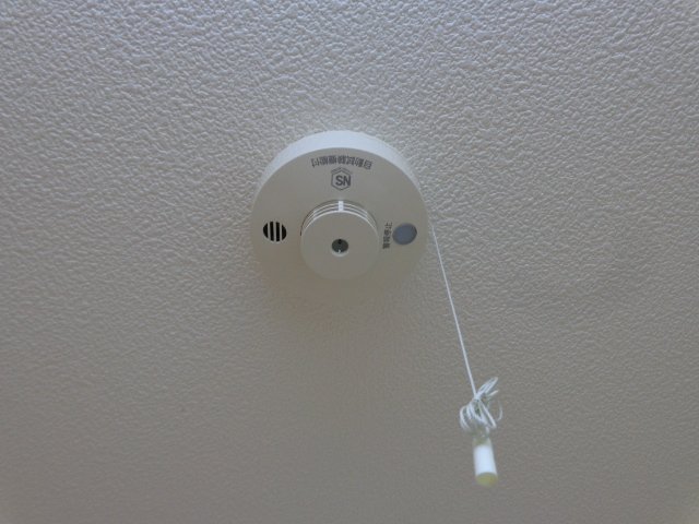 15/22 その他画像